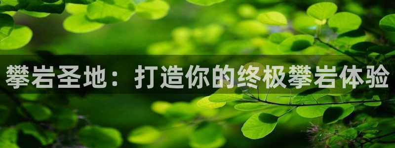 意昂体育3招商电话地址是多少：攀岩圣地：打造你的终极