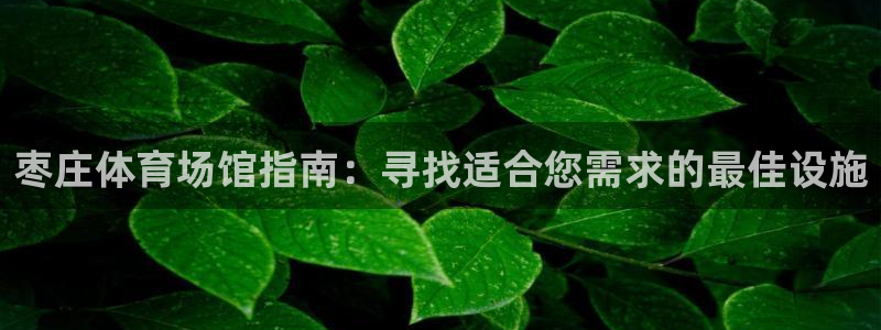 意昂3新能源：枣庄体育场馆指南：寻找适合您需求的最佳